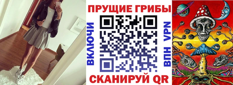 Псилоцибиновые грибы MAGIC MUSHROOMS  Купить  Каменка 